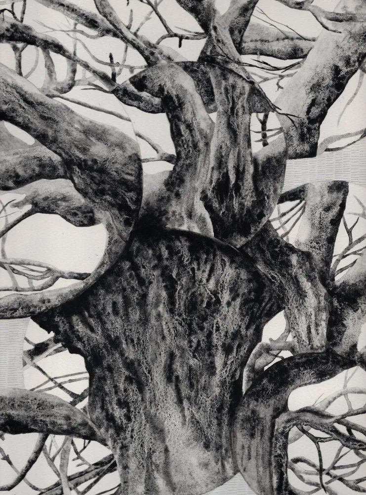 Old Gnarled Tree Trunk