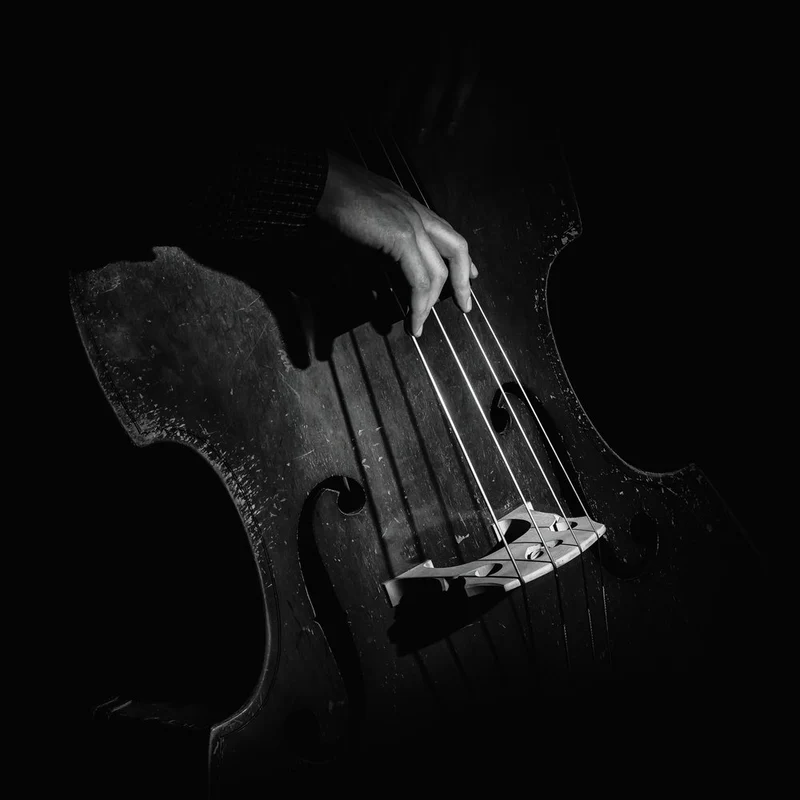 Moody Double Bass