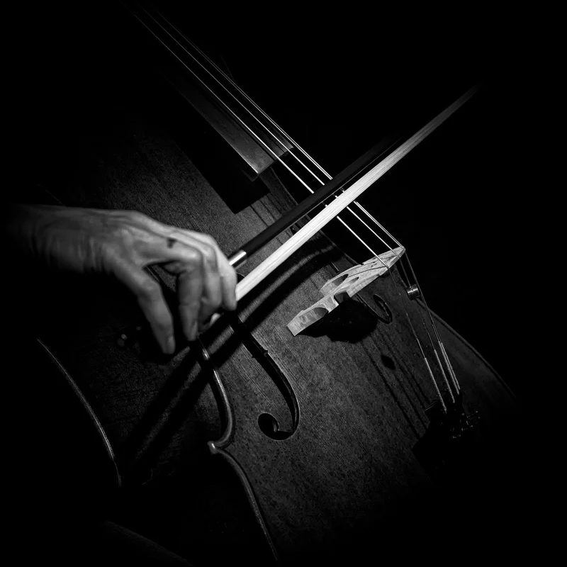 Dramatic Cello Play