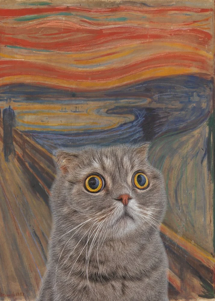 Surprised Cat Parody