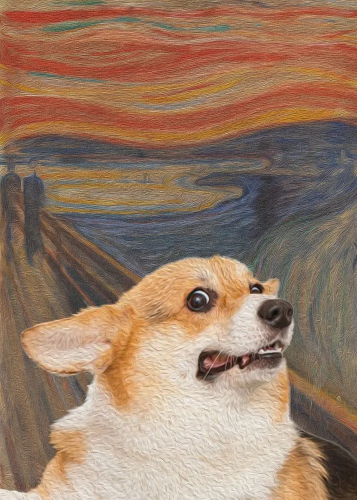 Scared Corgi Scream