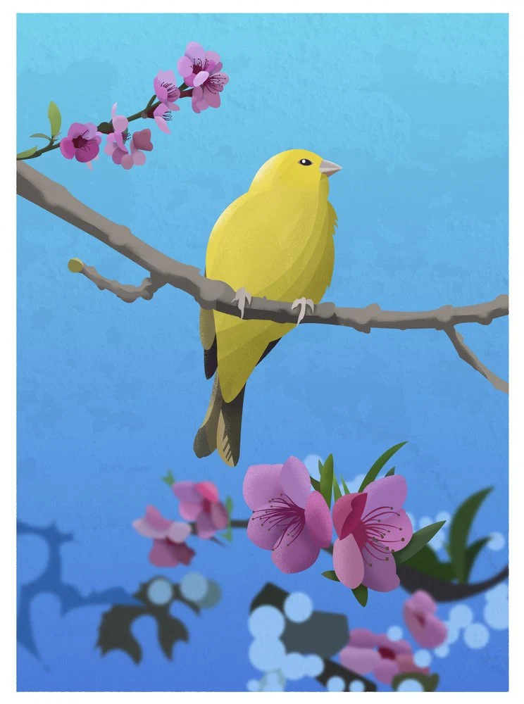 Yellow Bird Spring Bloom