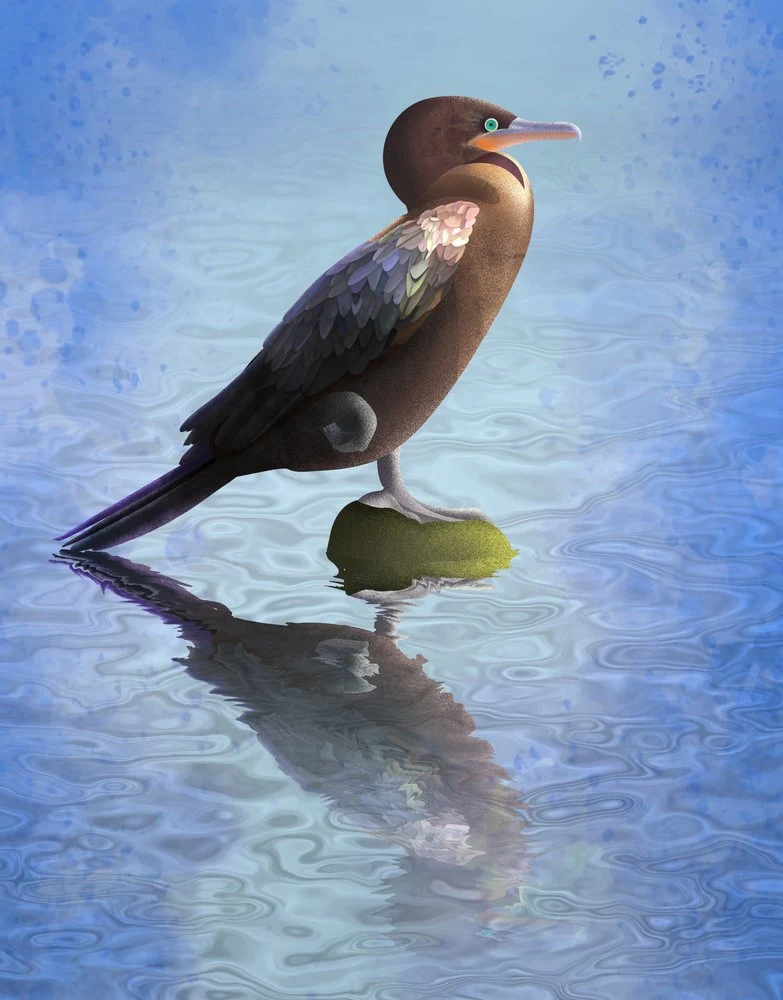 Serene Water Bird