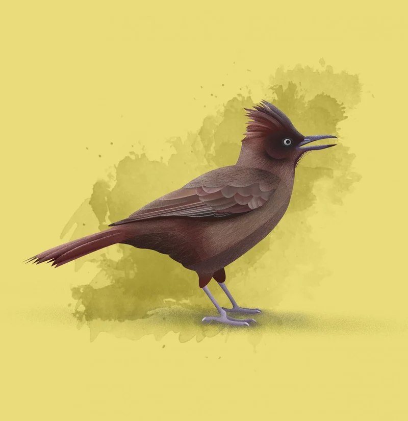 Singing Crested Bird