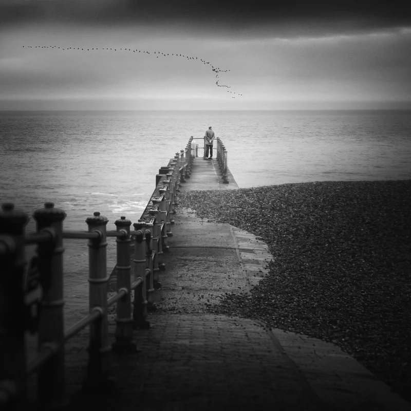Solitary Ocean View