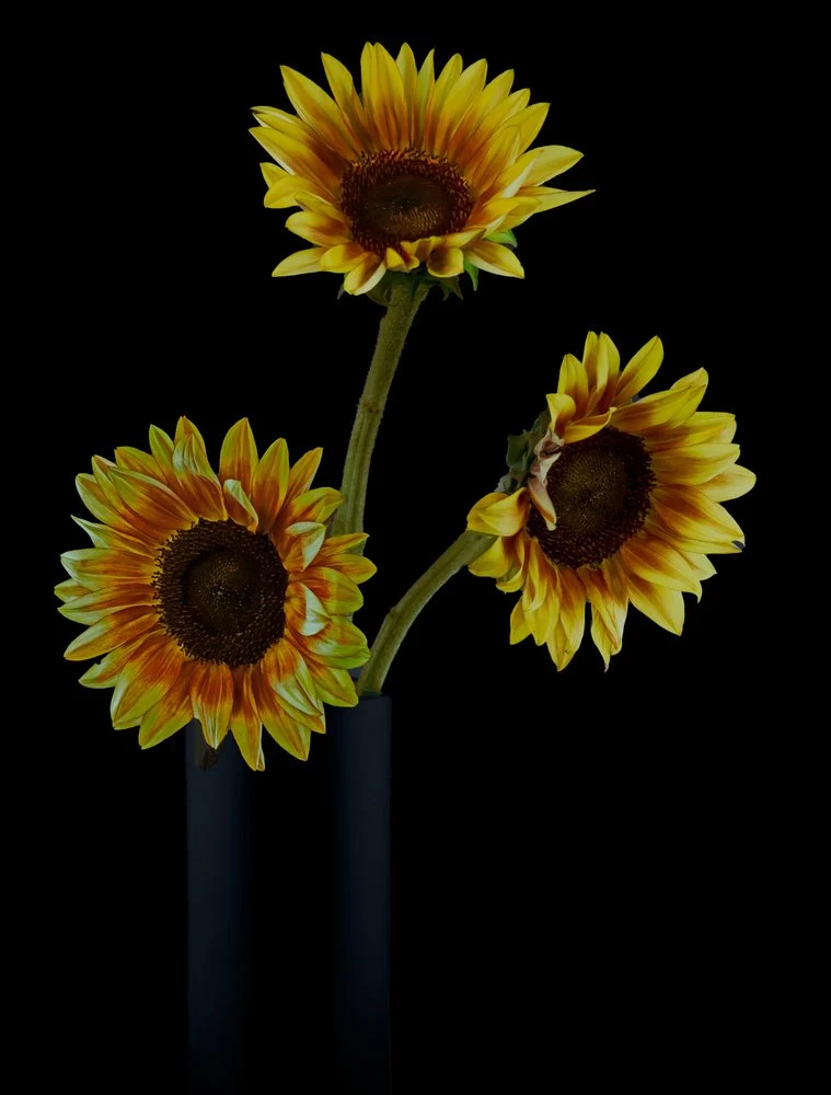 Golden Sunflower Arrangement