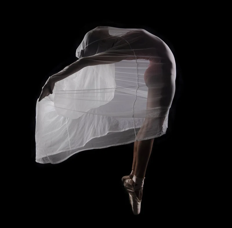 Elegant Ballerina Flow