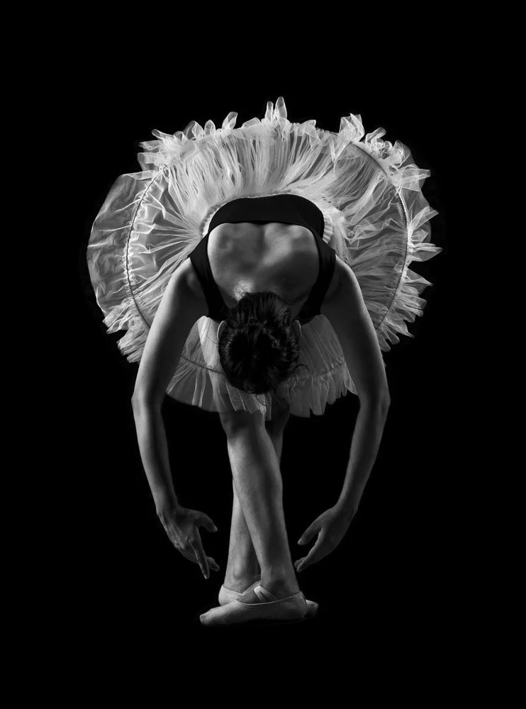 Ballerina's Graceful Bow