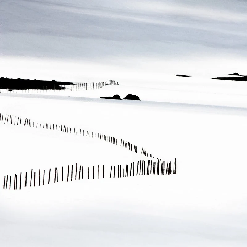 Minimalist Winter Fences