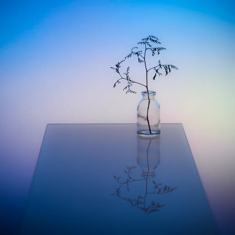Serene Botanical Reflection