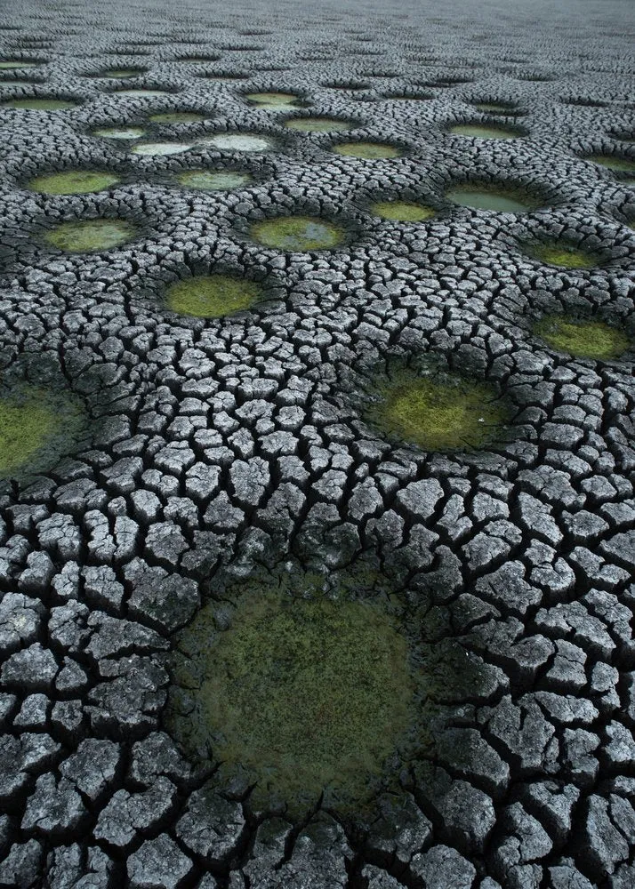 Arid Cracked Earth Puddles