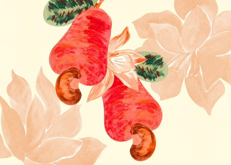 Vibrant Cashew Botanical