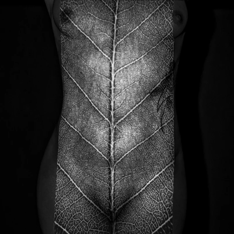 Textured Leaf Human