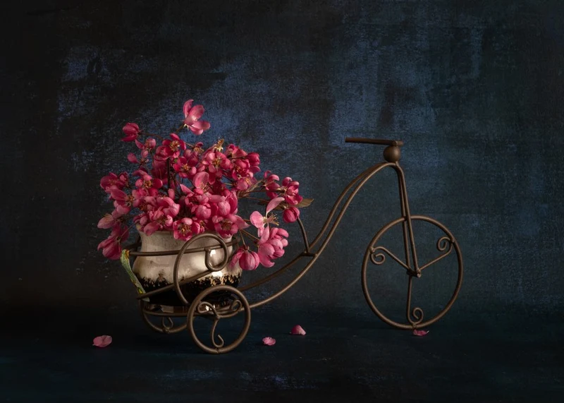 Pink Bicycle Flowers