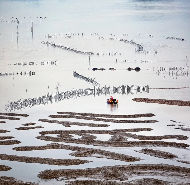Tidal Water Patterns