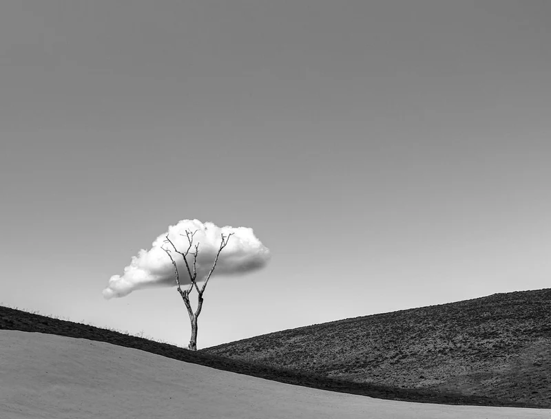 Lone Cloud Tree