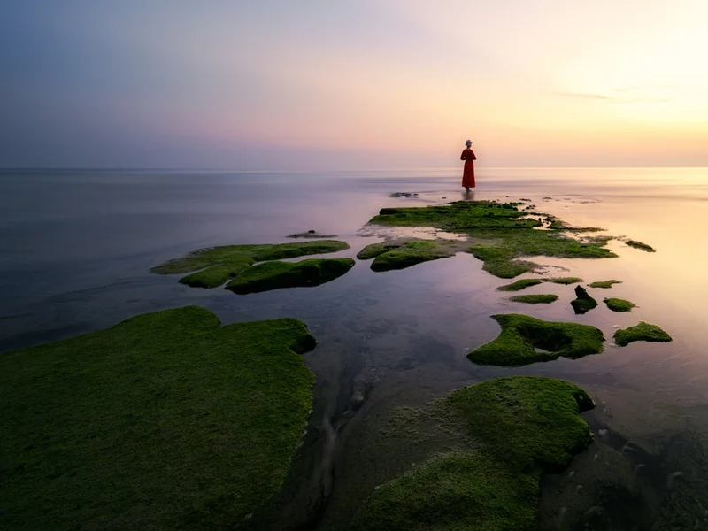 Serene Red Dress Shore