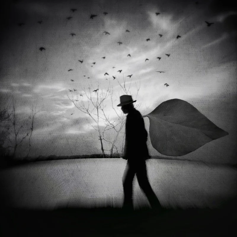 And the wind was blowing gently over Mr. K