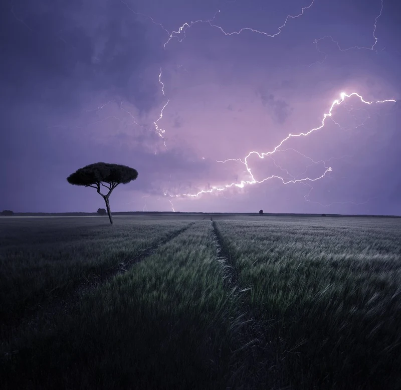 Dramatic Lightning Over Field