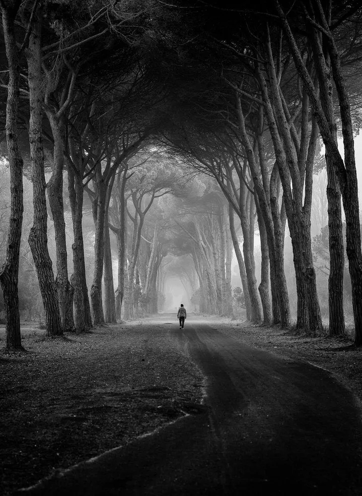 Lone Figure Misty Path