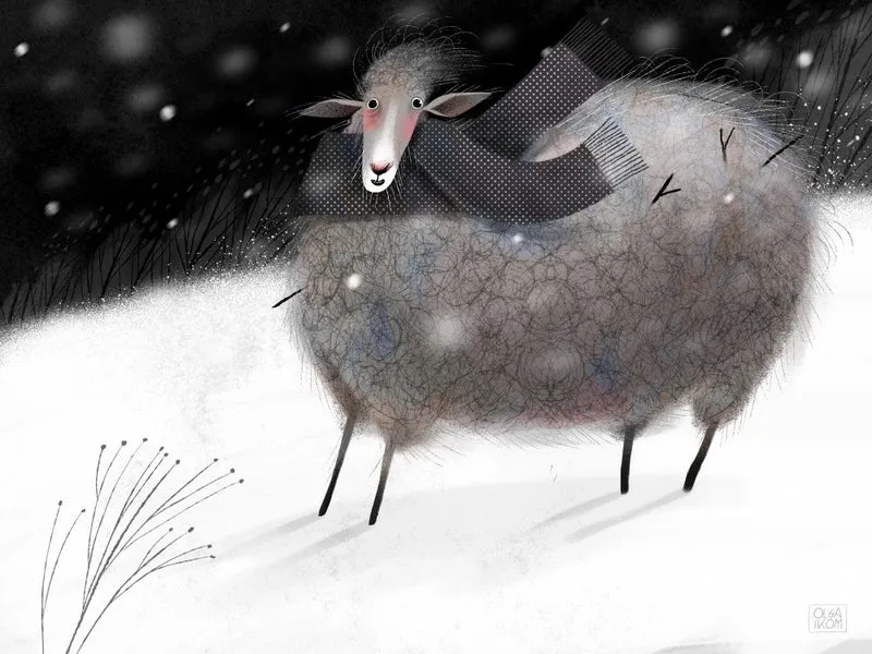 Sheep