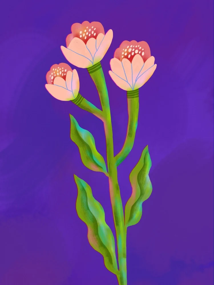 Petals of Serenity