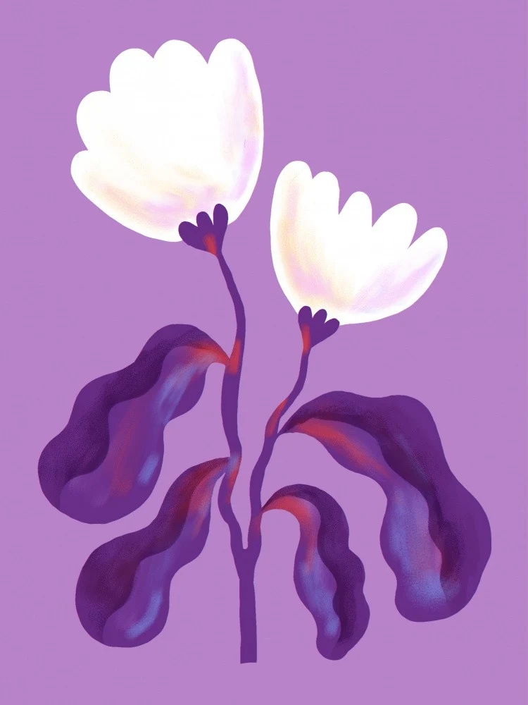 White Flowers and Violet Leaves