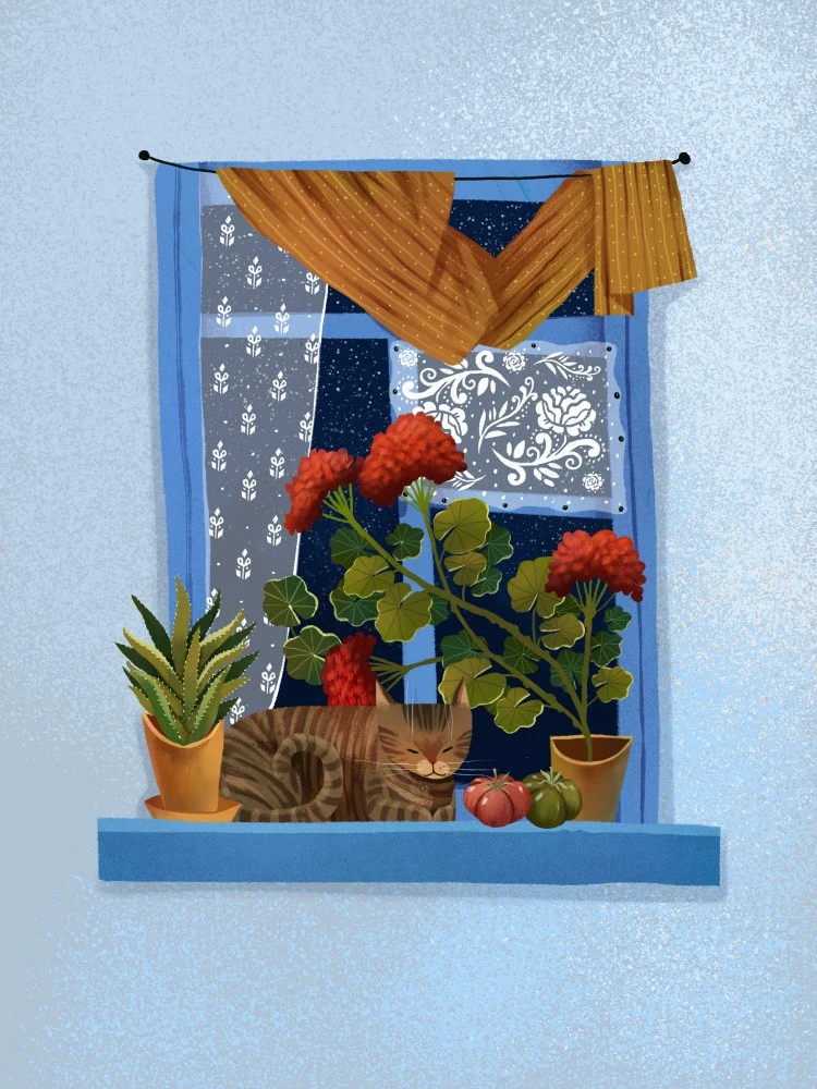 A Sleeping Cat on a Windowsill