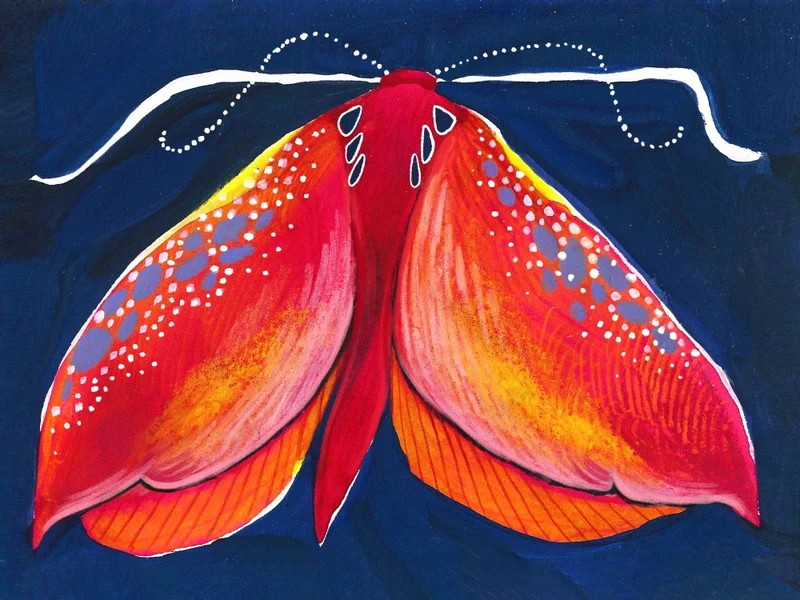 Moth
