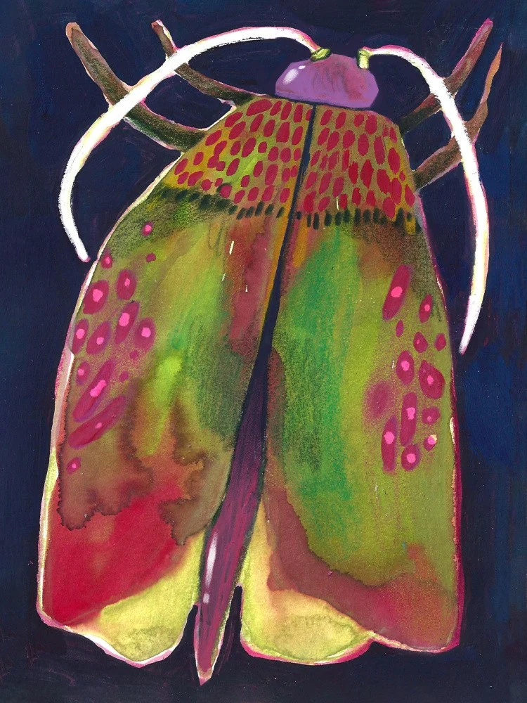 Moth