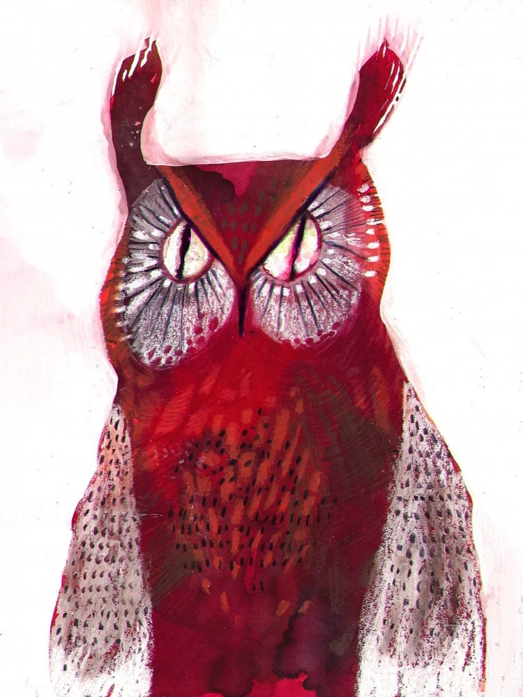 Owl