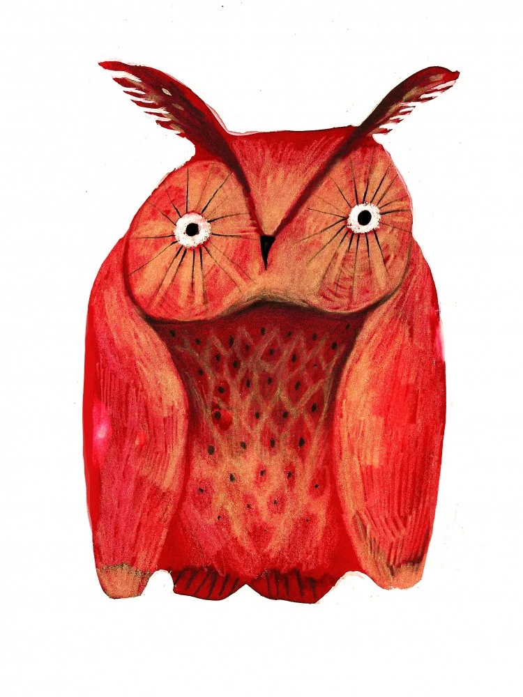 Owl