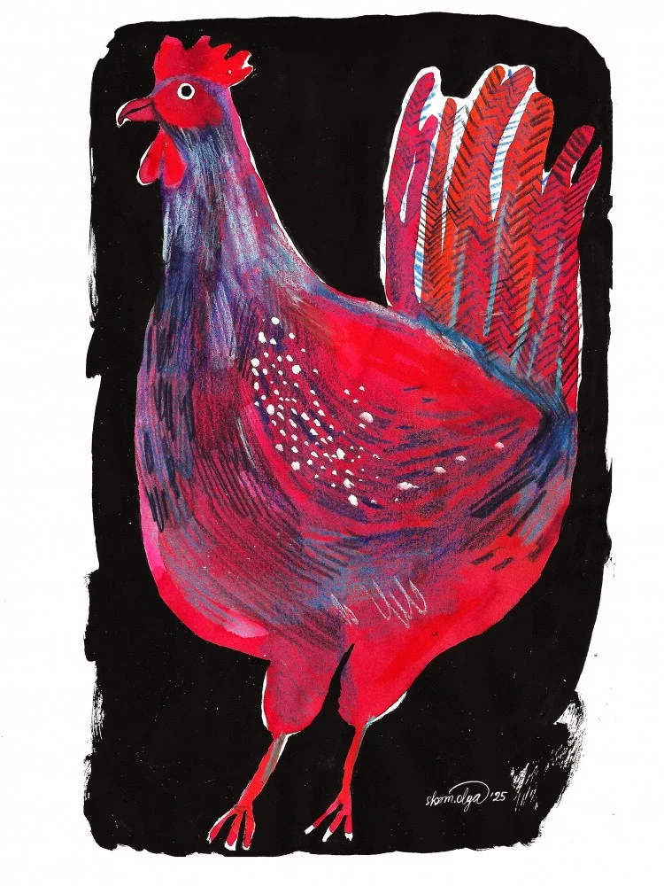 rooster