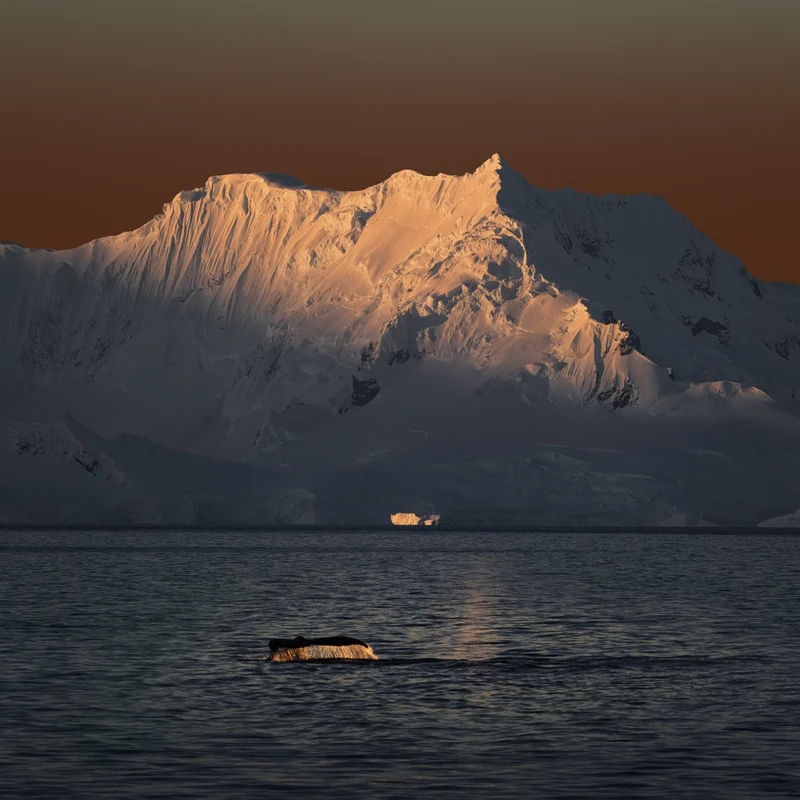 Antarctica in my memory