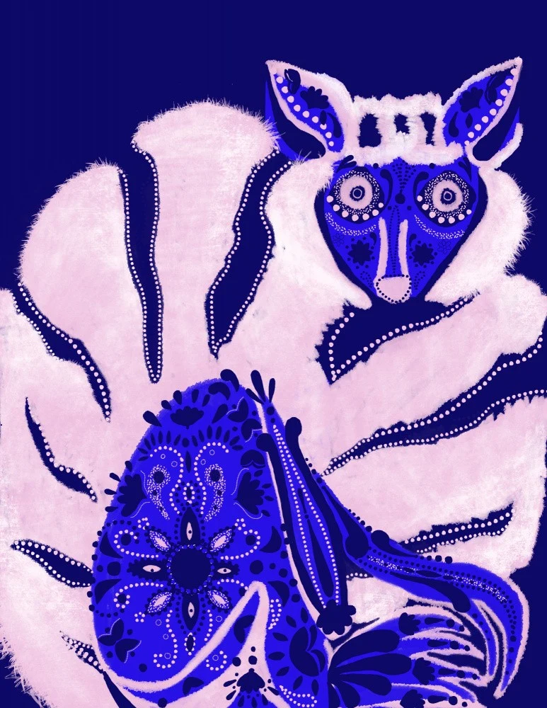 Sapphire ringtail