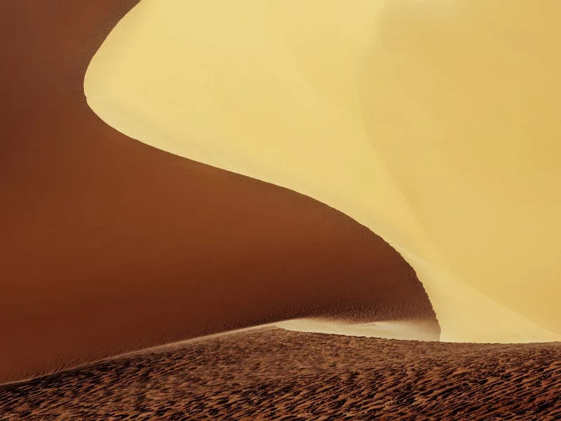 Golden Sand Curves