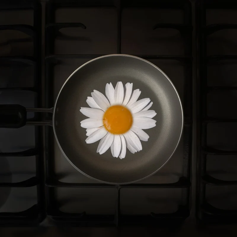 Sunny Side Up Daisy