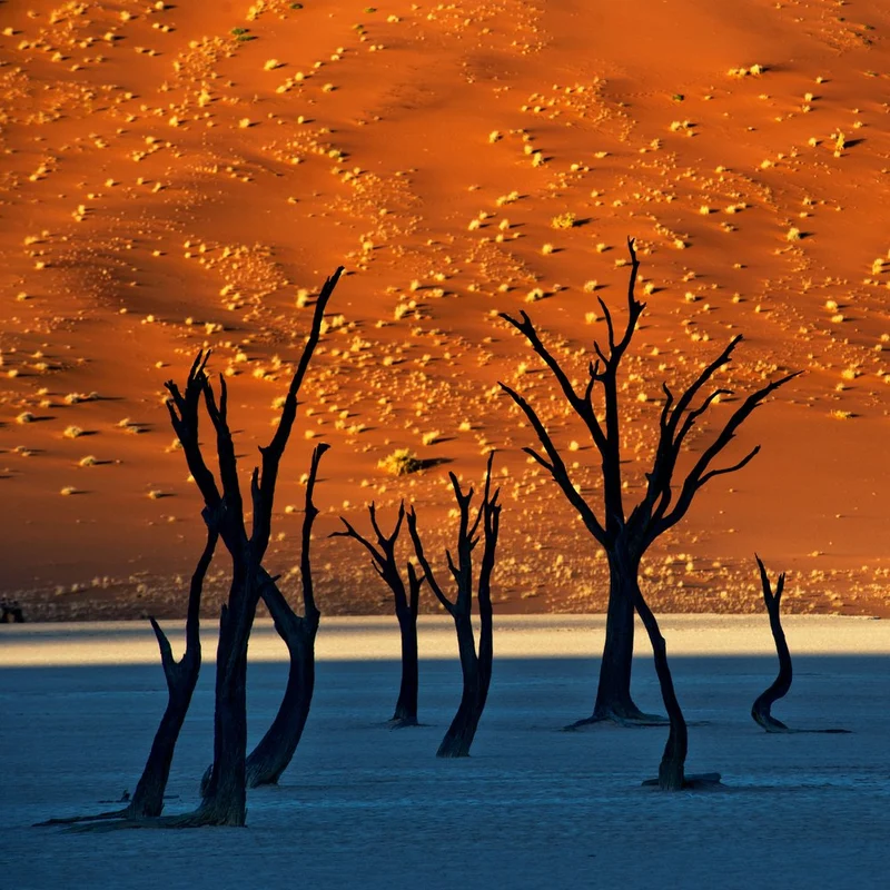 Deadvlei Desert Dawn