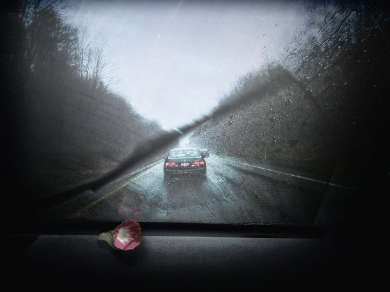Rainy Road Petal