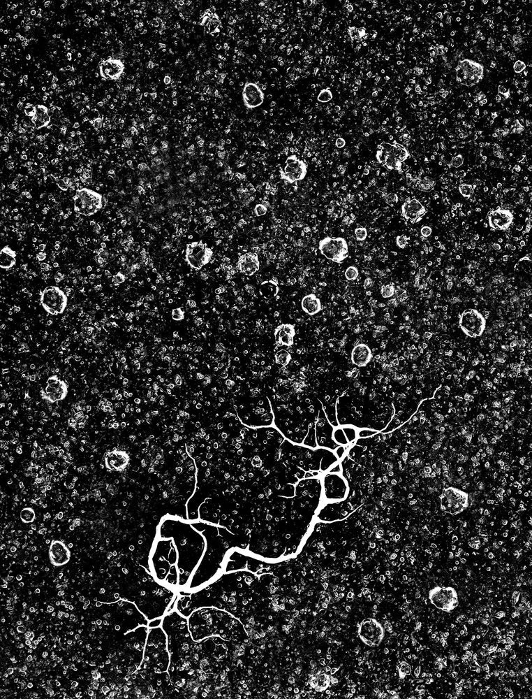 Cracked Ice And Bubbles