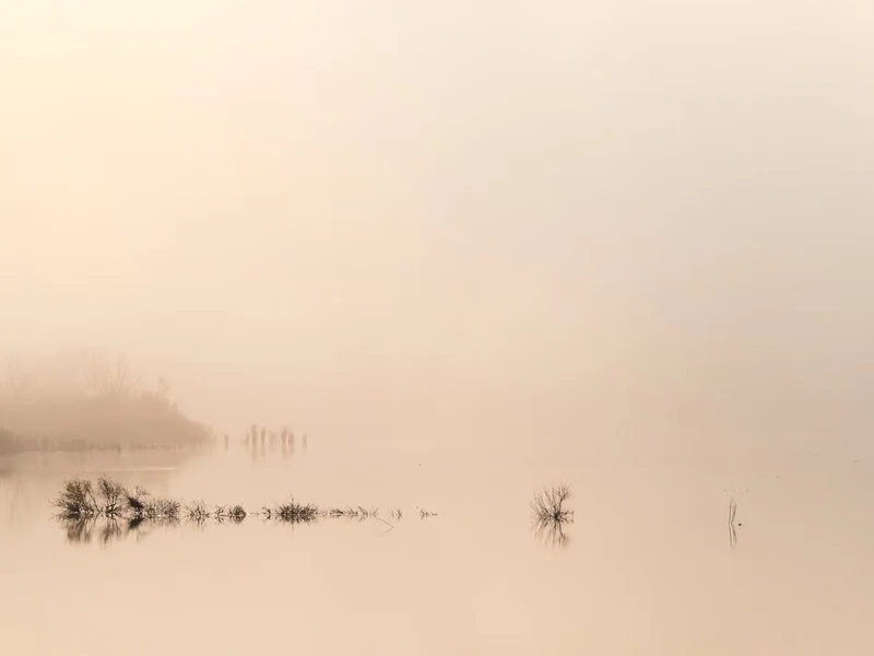 Foggy Lake Reflection