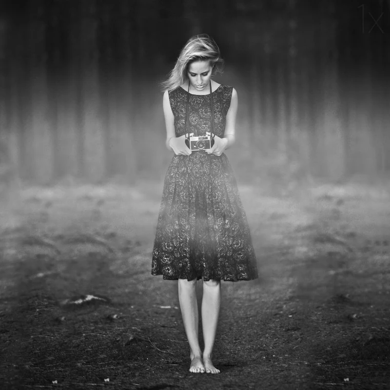 Misty Forest Photographer