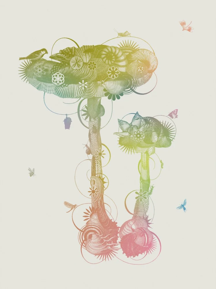 Amanita Mascara