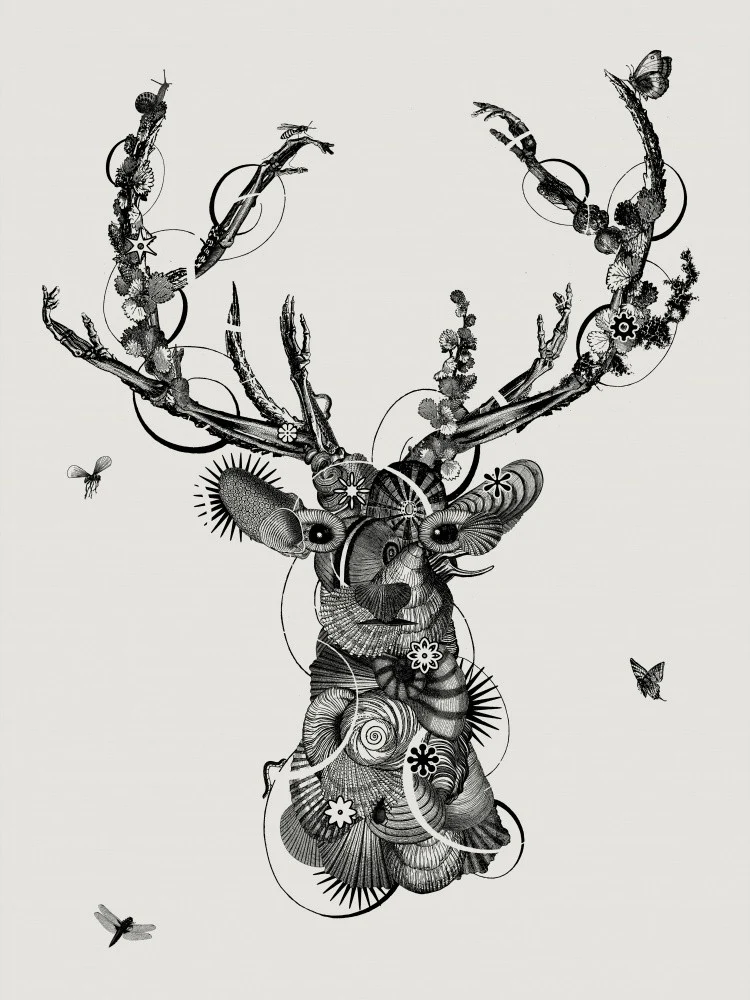 Deerhead