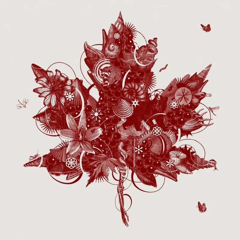Maple leaf