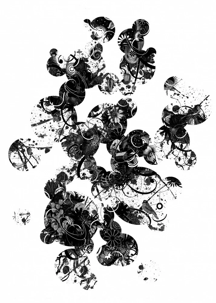 Fragments II