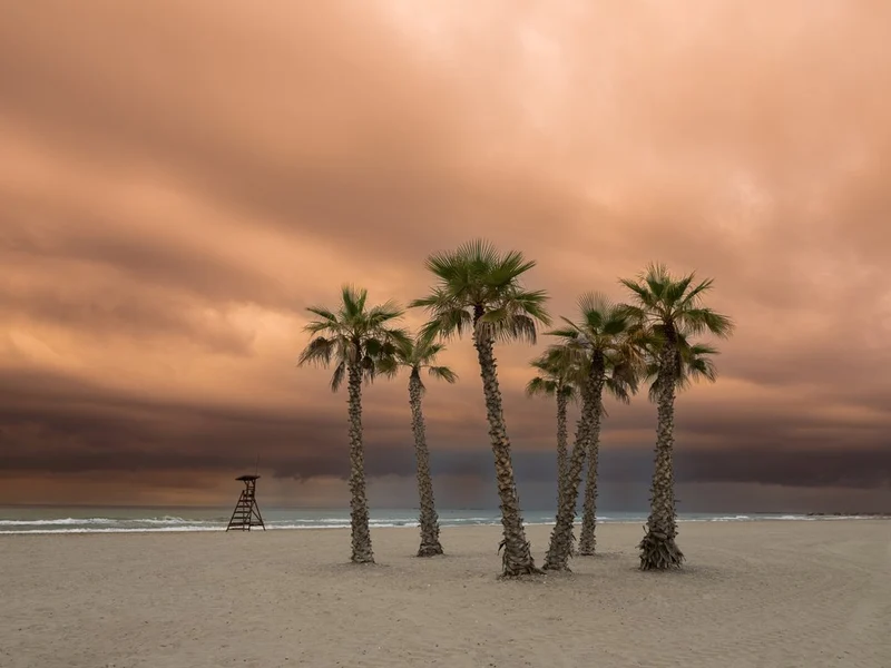 Dramatic Palm Beach