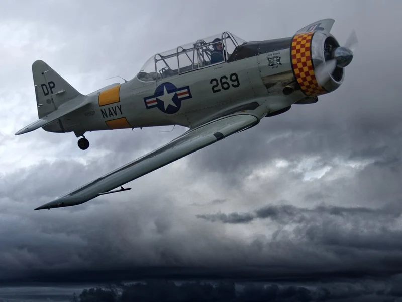 Warbird in Stormy Sky