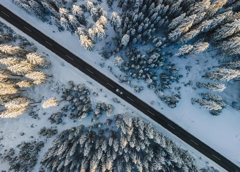 Winter Road Through Forest