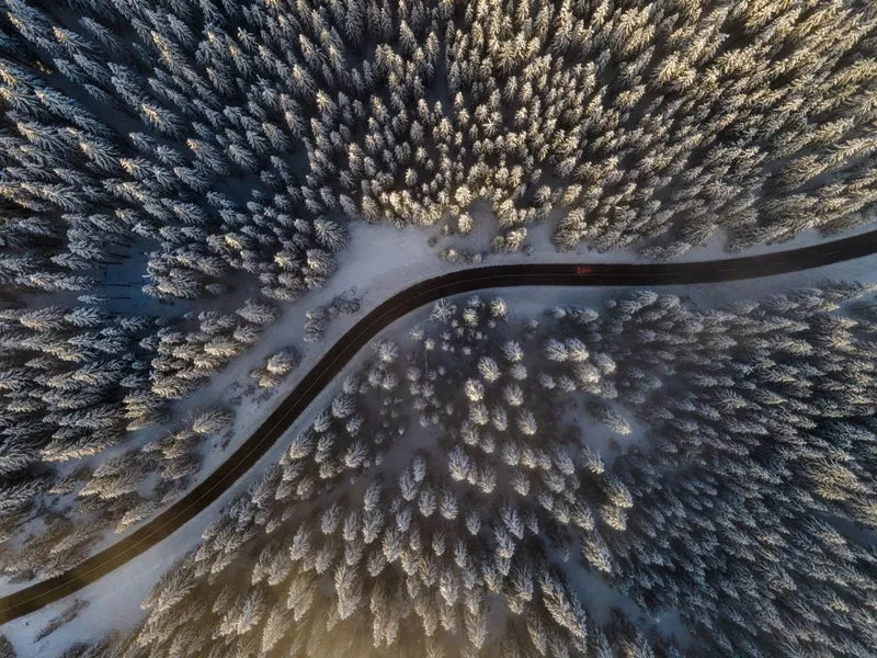 Winding Winter Road